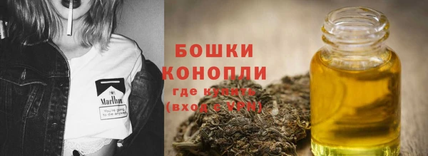 индика Пролетарск
