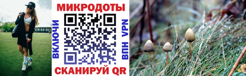 Псилоцибиновые грибы мицелий  купить наркоту  Новоалтайск 